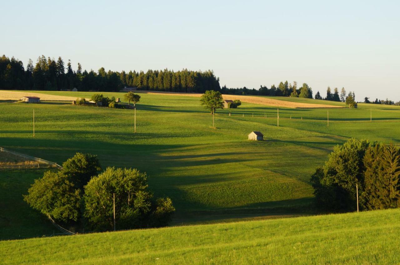 Black Forest Lodge Freudenstadt Luaran gambar